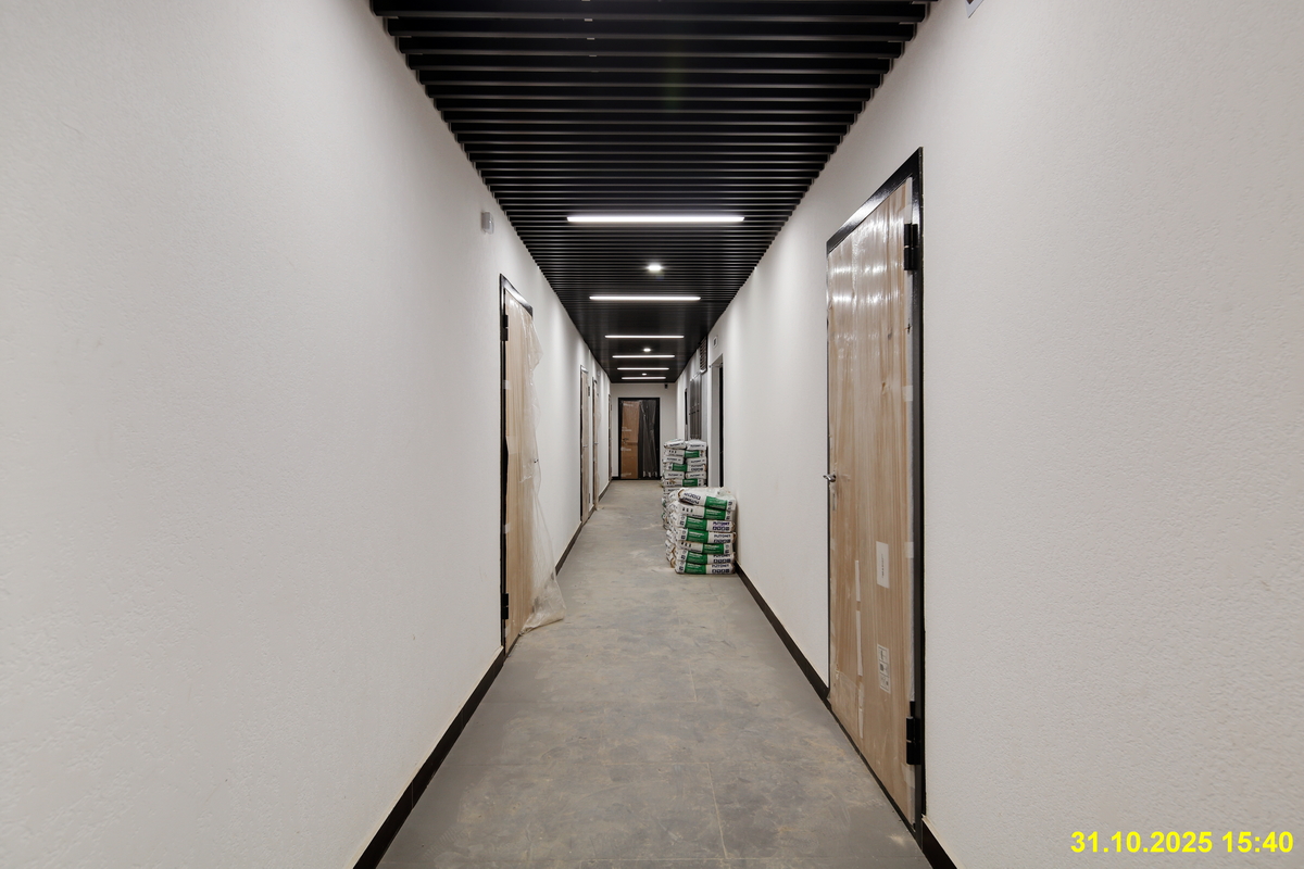 31 октября 2025