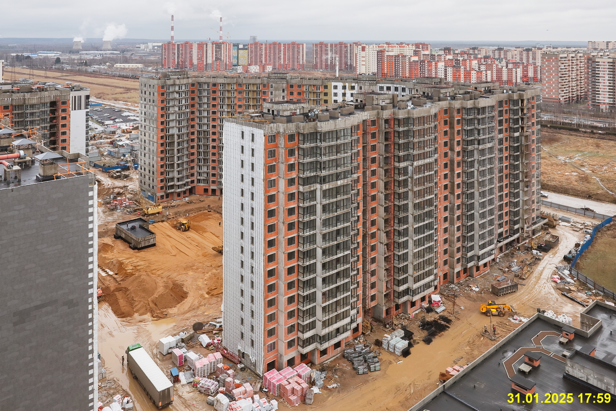 31 января 2025