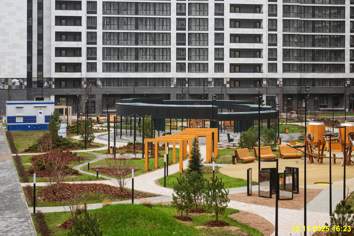 15 ноября 2025