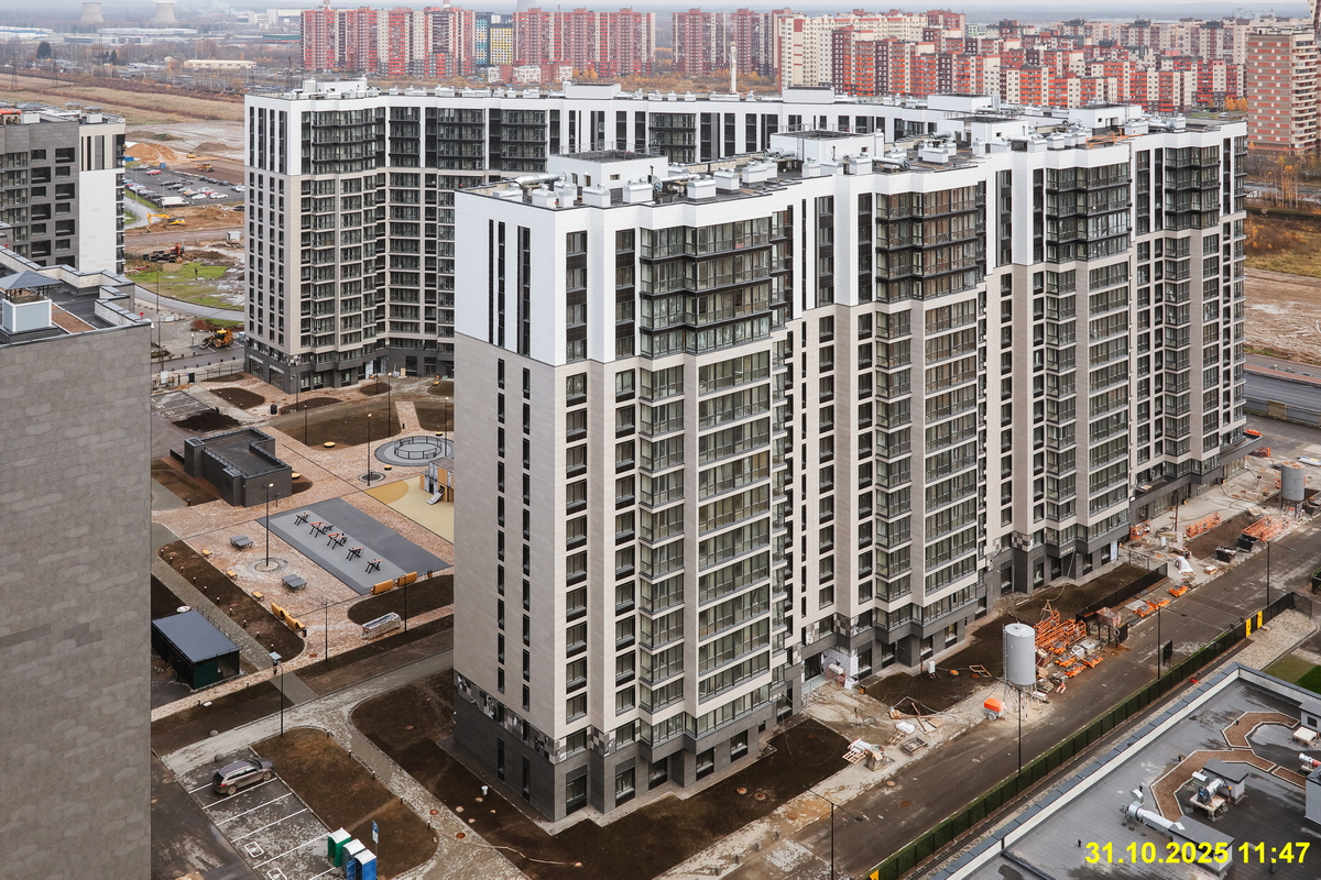 31 октября 2025