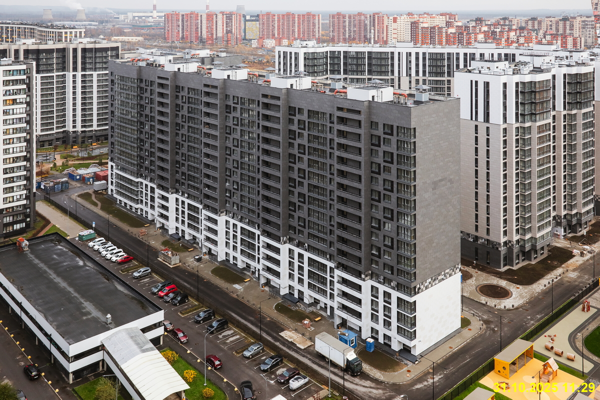 31 октября 2025