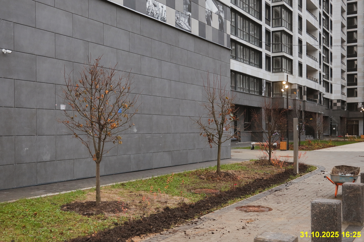 31 октября 2025