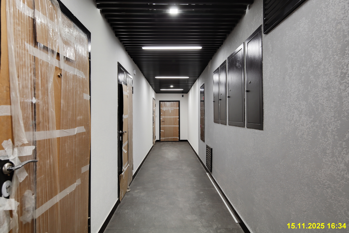 15 ноября 2025