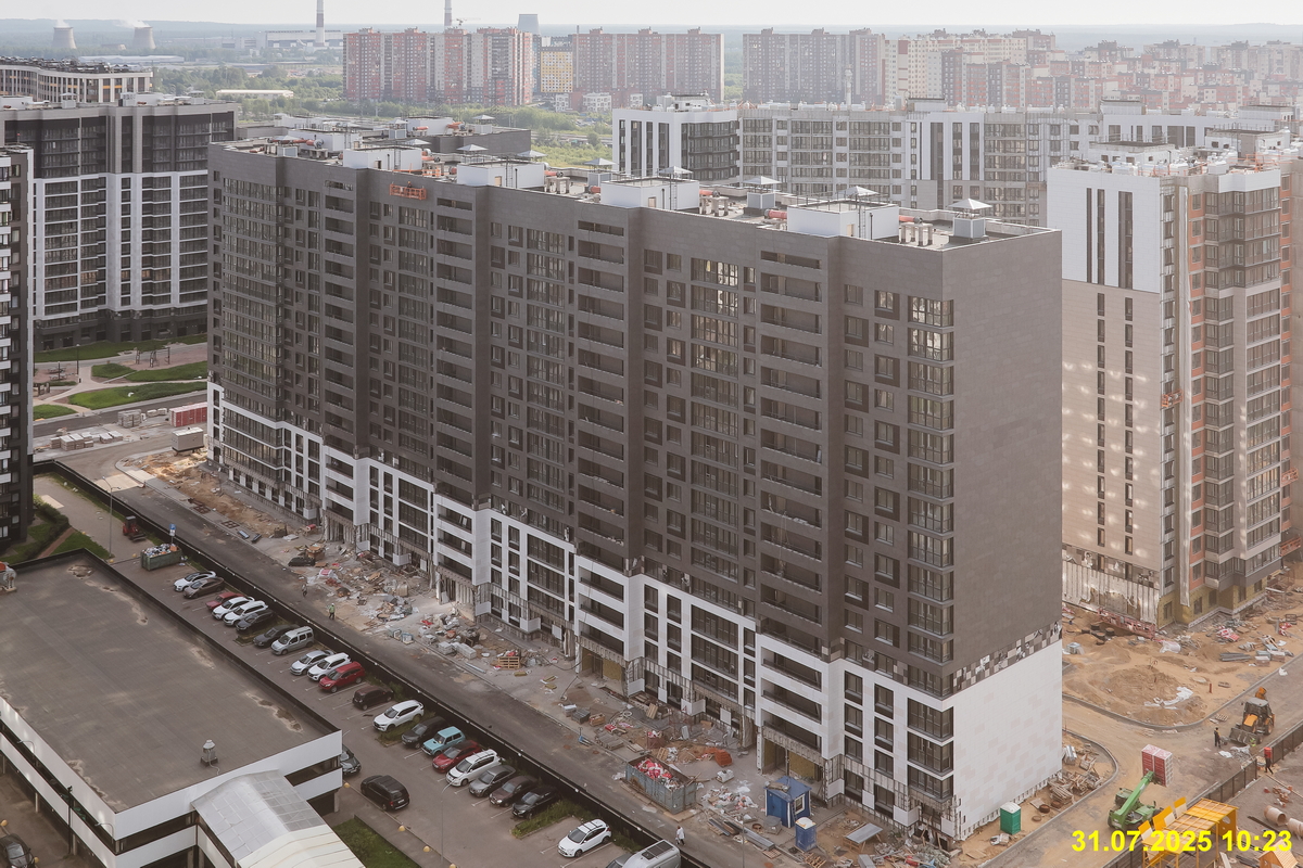 31 июля 2025