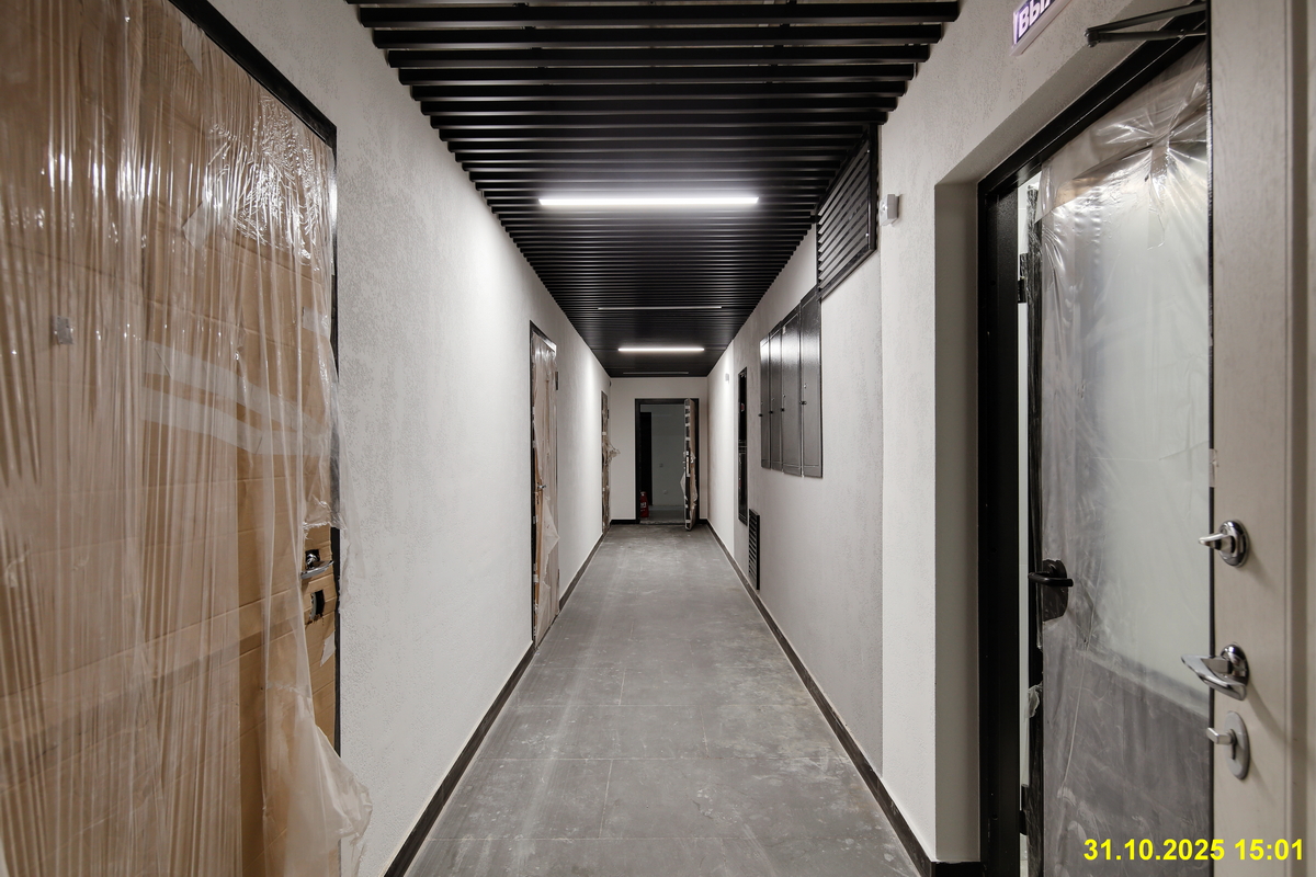 31 октября 2025