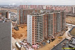 31 января 2025