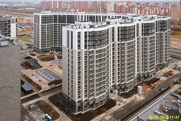 31 октября 2025