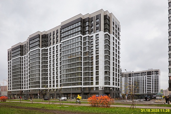 31 октября 2025