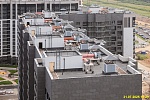 31 июля 2025