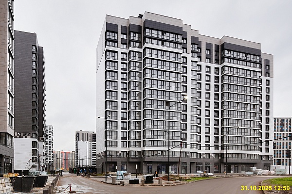 31 октября 2025