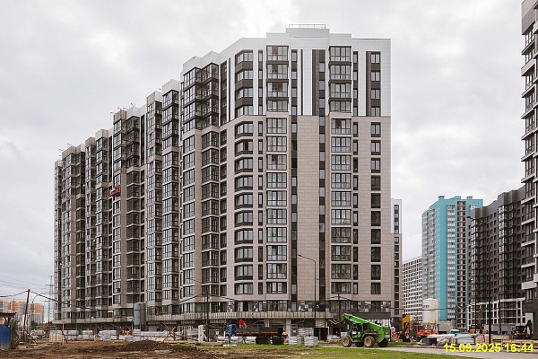 15 сентября 2025
