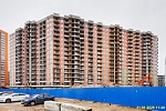 31 января 2025