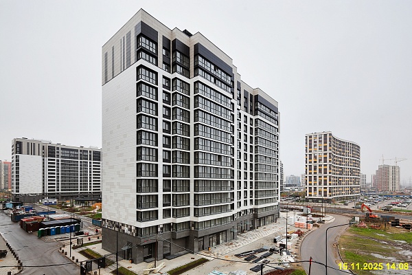 15 ноября 2025