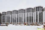 15 января 2025 15 января 2025