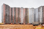 31 января 2025