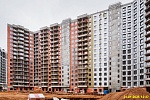 31 января 2025