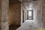 31 января 2025