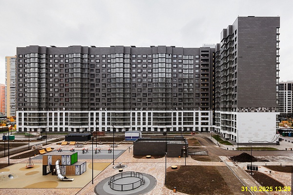 31 октября 2025