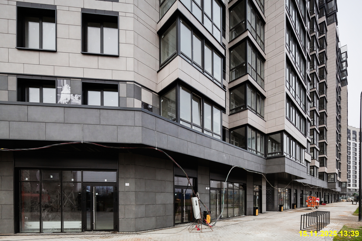 15 ноября 2025