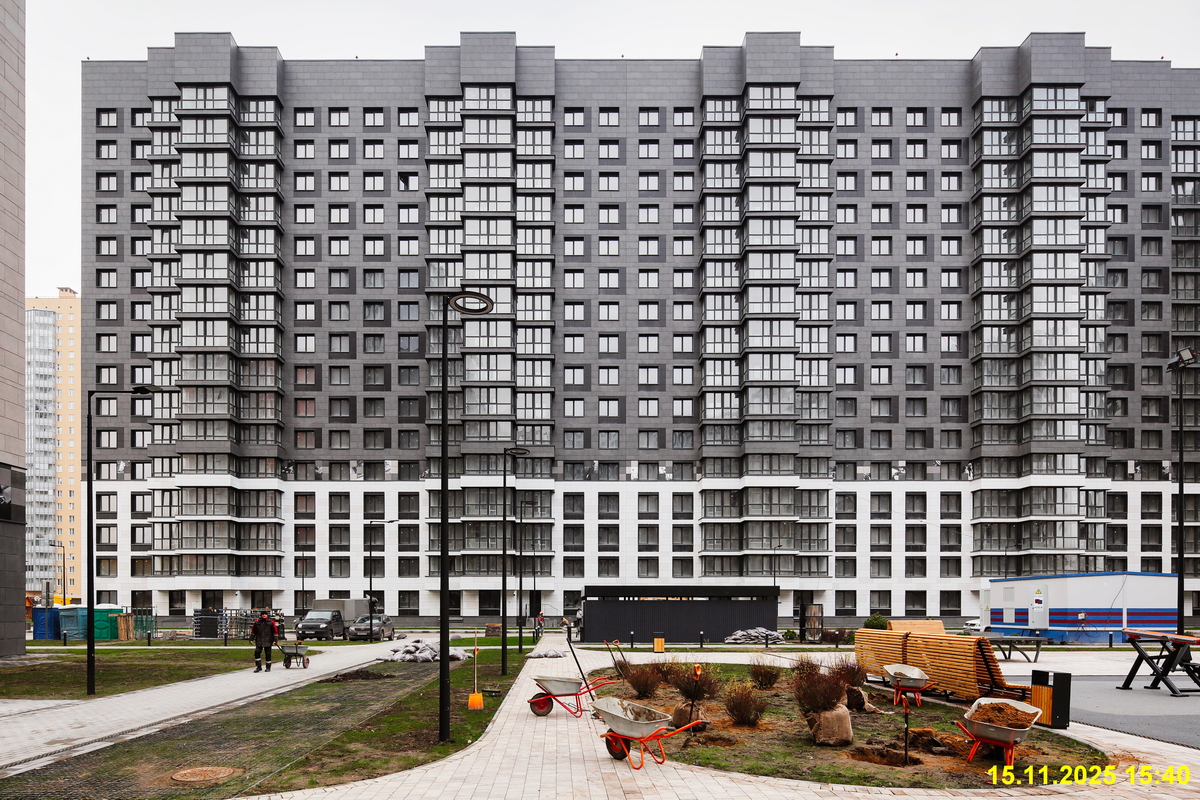 15 ноября 2025