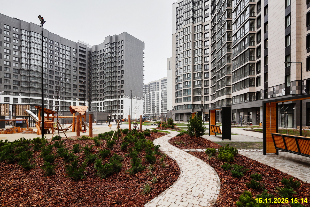 15 ноября 2025