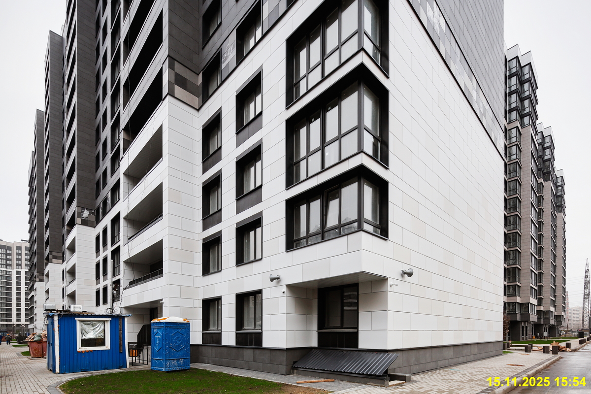 15 ноября 2025