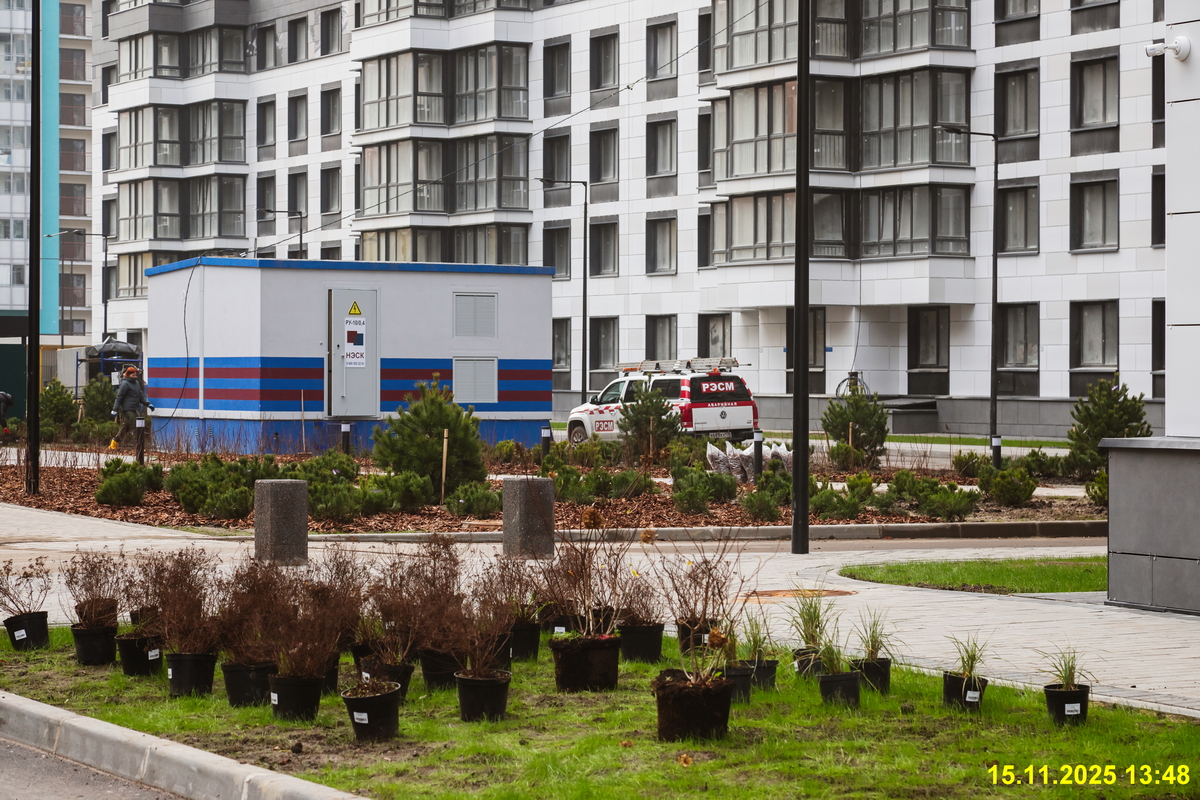 15 ноября 2025