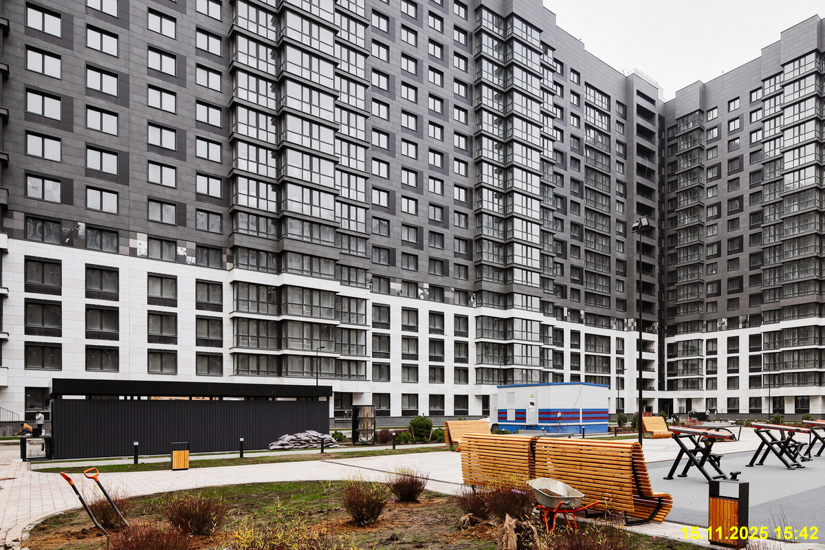 15 ноября 2025