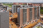 31 мая 2025