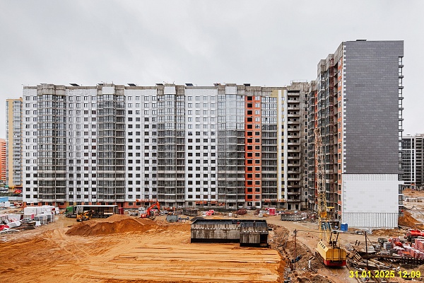 31 января 2025