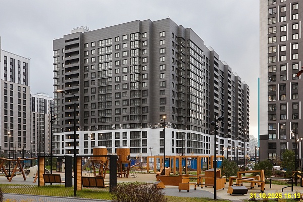 31 октября 2025