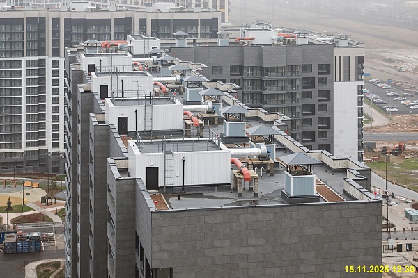 15 ноября 2025