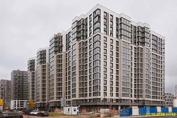 31 октября 2025