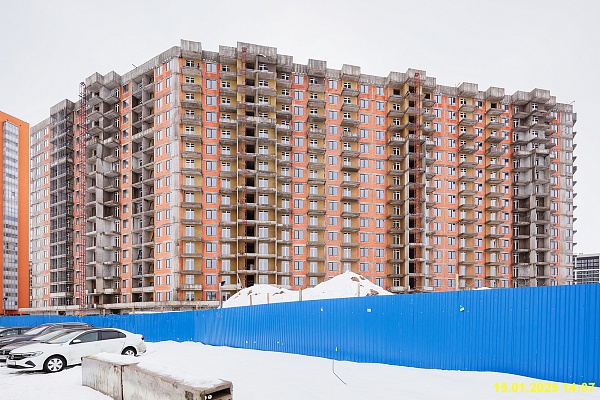 15 января 2025 15 января 2025