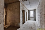 15 января 2025 15 января 2025